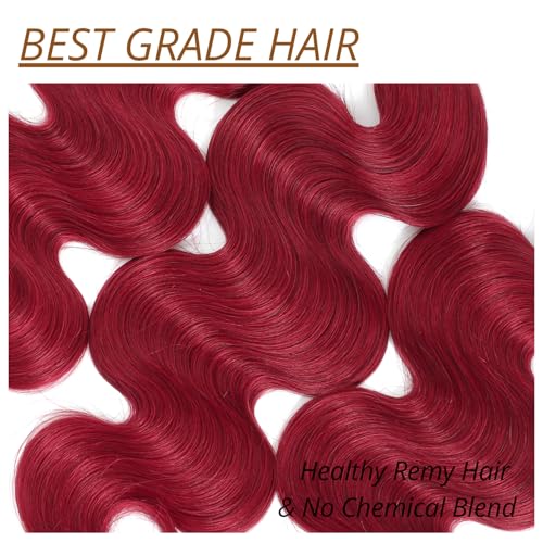 Red Burgundy 3 Bundles Human Hair Body Wave, 12A Colored 100% Unprocessed Remy Hair Soft and Bouncy Burgundy Cherry Red 99J Human Hair Wavy Bundles Sew in Double Weft Quick Weave 12 14 16 Inch
