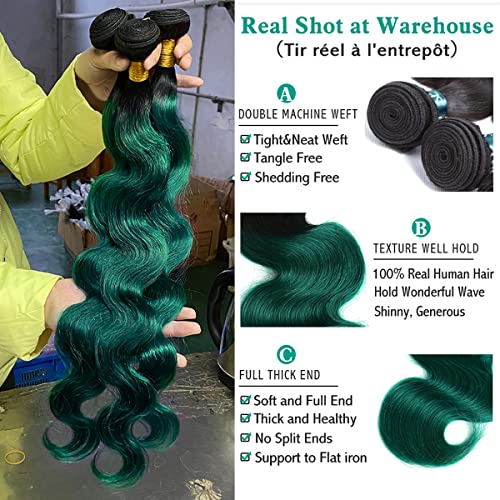 Ombre Green 1 Bundle Hair Ombre 1B/Green Color Body Wave Hair Bundles Unprocessed Virgin Human Hair Extensions for Women (18", 1B/Green)