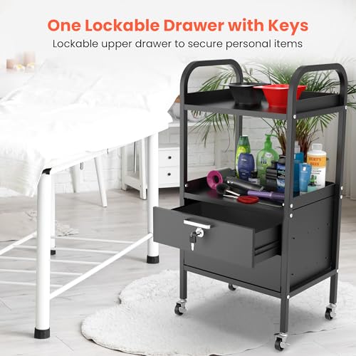 TASALON Metal Salon Rolling Cart with Lockable Drawers & Wheels ? 4-Tier Hair Stylist Tool Storage Trolley, Barber & Esthetician Station Organizer, Beauty Salon Equipment & Spa Storage Cabinet