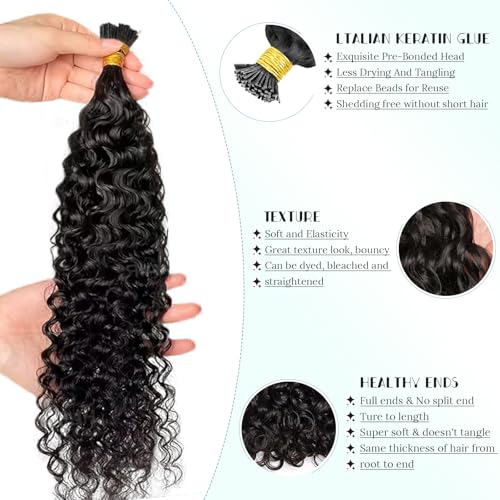 Water Wave Itip Human Hair Extensions 14 Inches Cold Fusion Hair Piece 100 Strands/Pack Curly Pre Bonded Keratin Stick Tipped Hair Extensions for Women I Tip Extensions Human Hair