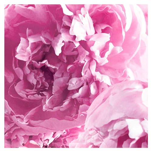 Jo Malone London Peony & Blush Suede Body Cr?me Body Creme 175ml