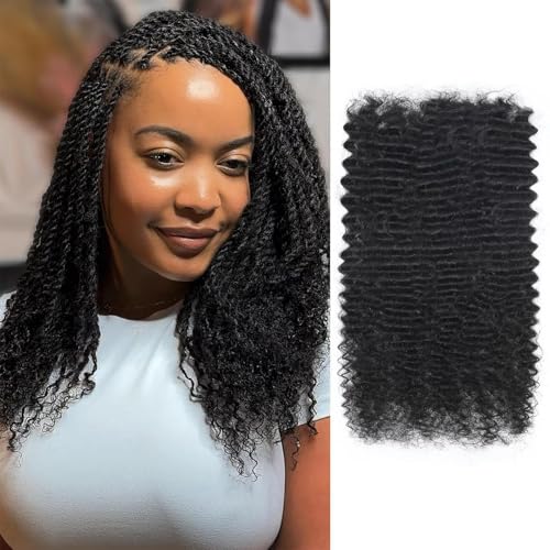 Afro Kinkys Bulk Human Hair 24 Inch 100g Nature Black Afro Kinky Curly Human Hair Bulk for Dreadlock Extensions Micro Locs Braiding Twists Braids and Repair Locs
