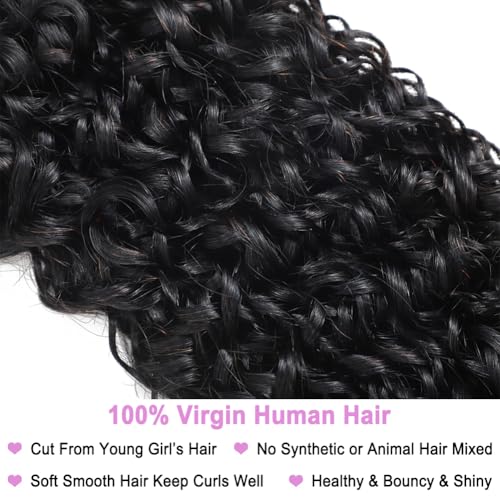 Seekomi Human Hair Burmese Curly Bundles 16 18 20 22 Inch 100% Virgin Water Curly 4 Bundles Human Hair with Spiral Ends Double Weft Quick Weave for Women, Natural Black Color, 400g