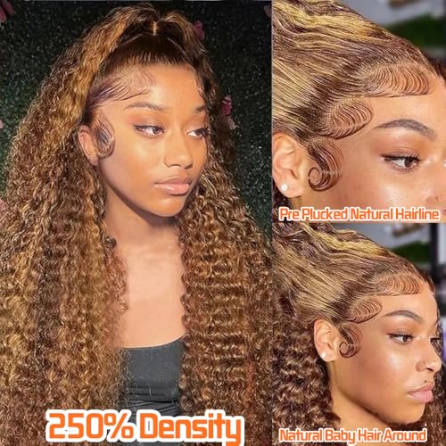 CHEETAHBEAUTY #4/27 Ombre Highlight Deep Wave 13X6 HD Transparent Lace Front Wigs Brazilian Deep Curly Human Hair Wigs for Black Women Pre Plucked with Baby Hair 250% Density(22inch)