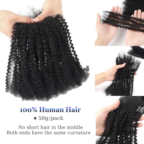 Afro Kinky Curly Human Hair Bulk for Permanent Micro Locs/Twists/Braids - Repair Locs - 1 Pack 50 Gram (1B, 18inch)
