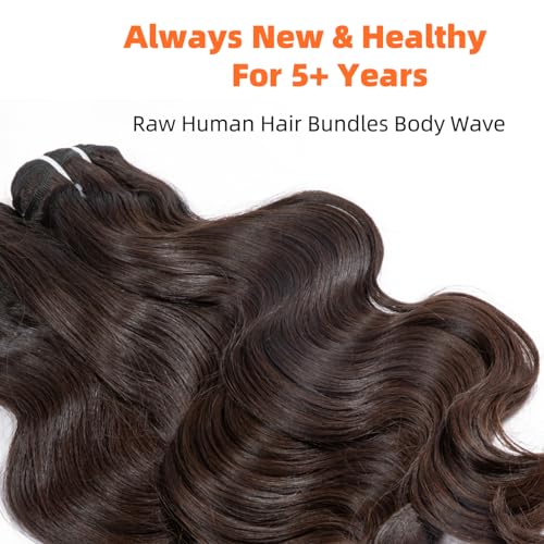 Clytie One Donor Raw Natural Dark Brown Body Wave Bundles Human Hair, 5 Years Lasting Raw Cambodian Short 1 Single Wavy Bundle Human Hair 14 Inches Unprocessed Virgin Sew in Can Lift 613