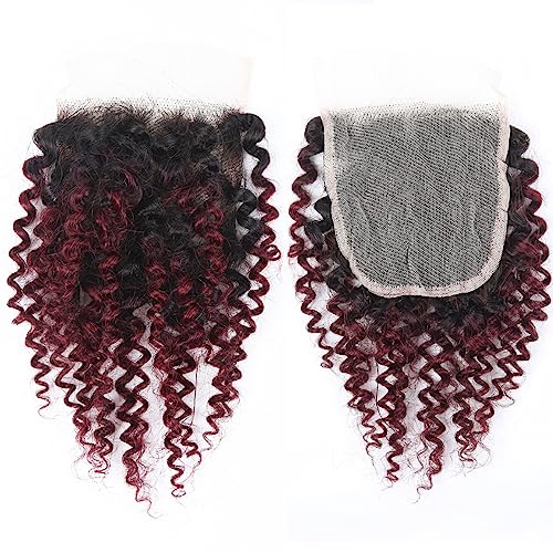1b/99j Curly Human Hair Bundles and Closure(10 10 10+10) Kinky Curly Bundles Human Hair Brazilian Virgin Ombre 99j Burgundy Red Human Hair 3 Bundles with 4x4 Closure 50 Gram/Bundle