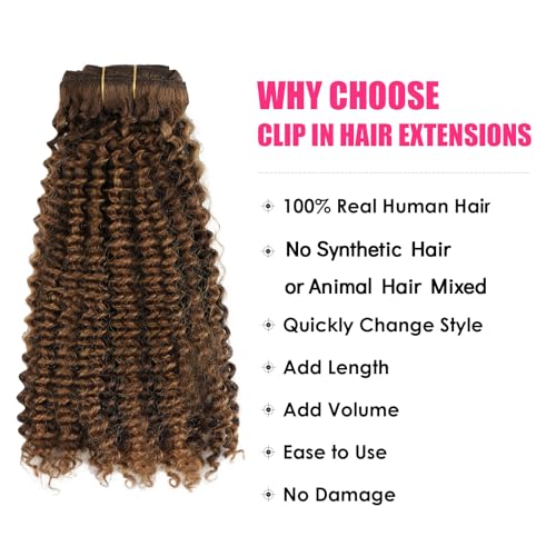 Curly Clip in Hair Extensions Real Human Hair Kinky Curly Clip ins Black Women #P4/27 Drak Brown Highlight Blonde Remy Human Hair Extensions Double Weft 7Pcs 120g 20 Inch