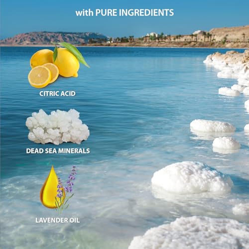 Dead Sea Collection Lavender Body Wash for Women and Men - with Pure Dead Sea Minerals and Lavender Oil - Gentle Cleanses and Moisturizes Skin (33.8 fl. oz)