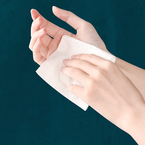 Small Soft Facial Tissue, Bag Cover, NOT In Box, Disposable Facial Napkin, Material Wood Pulp Fiber NOT COTTON, White Facial Paper Tissue, 4-Ply, 4 Packs, 480 Sheets per Pack