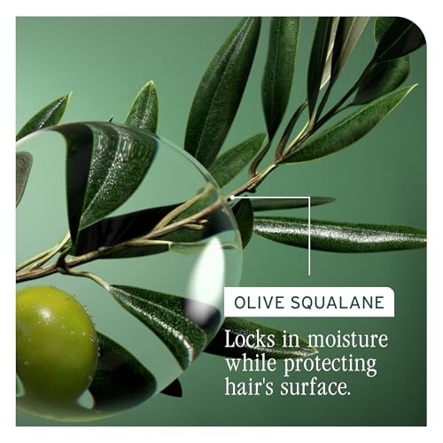 Biolage Strength Recovery Repairing Spray - Leave-In Treatment, Strengthens & Repairs Damaged Hair, Heat Protectant, Detangling Leave-In Treatment, With Olive Squalane & Vegan Proteins