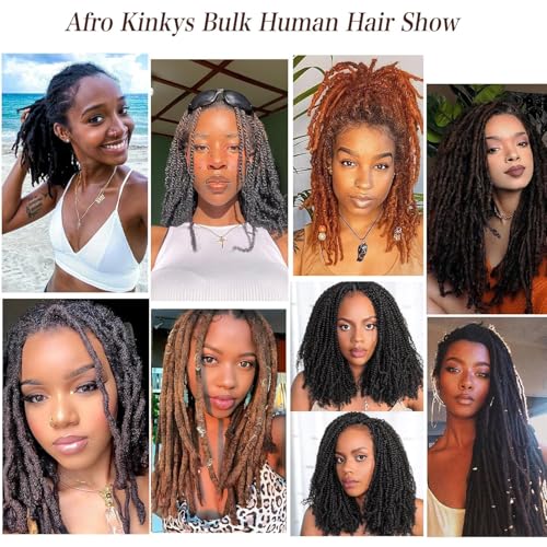 Afro Kinkys Bulk Human Hair 24 Inch 100g Nature Black Afro Kinky Curly Human Hair Bulk for Dreadlock Extensions Micro Locs Braiding Twists Braids and Repair Locs