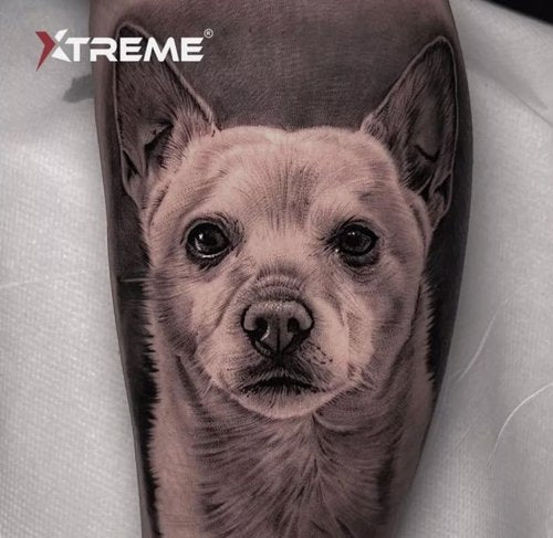 Xtreme GO2 Black Tattoo Ink, Intense Darkness for Bold Fillings - Highly Concentrated Black Ink, Smooth Application, Sterile, and Vegan - Crafted for Quality and Safety (GO2, 8 oz)
