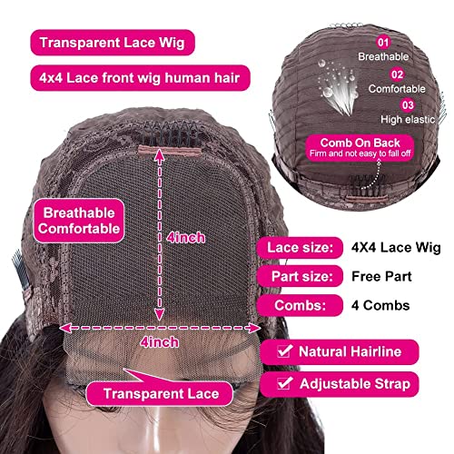 Super idol Omber Highlight Deep Wave Lace Front Wigs Human Hair Brazilian Lace Closure Wigs 4¡¿4 Ombre Human Hair Wig P1B/30 Free Part Human Hair Wig for Black Women (26 Inch, 1B/30 Highlight Wig)