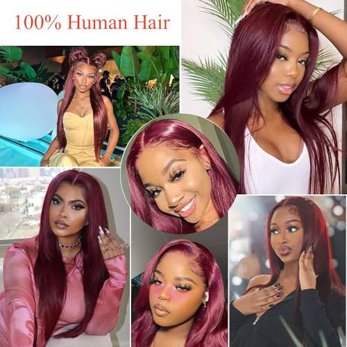 Burgundy Straight Lace Front Wigs Human Hair 13X6.5 Burgundy Wig Human Hair 250% Density Straight HD Lace Front Wigs for Women Glueless Wigs Human Hair (28 inch, 99j)