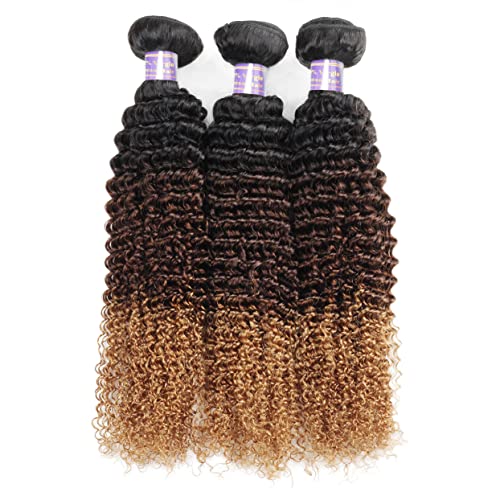 Allove Hair Ombre Human Hair Bundles Kinky Curly Bundles 3 Bundles (16 18 20inch) 12A Brazilian 3 Tone Ombre Color Curly Virgin Remy Human Hair Bundles Weave T1B/4/27