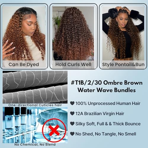 ALHER 12A Ombre Human Hair 3 Bundles Water Wave 20/22/24 Inch, Salon Quality Soft Thick Chestnut Brown Ombre Curly Bundles Wet and Wavy 100% Remy Hair #T1B/2/30 Dark Root to Medium Auburn Sew In Weave