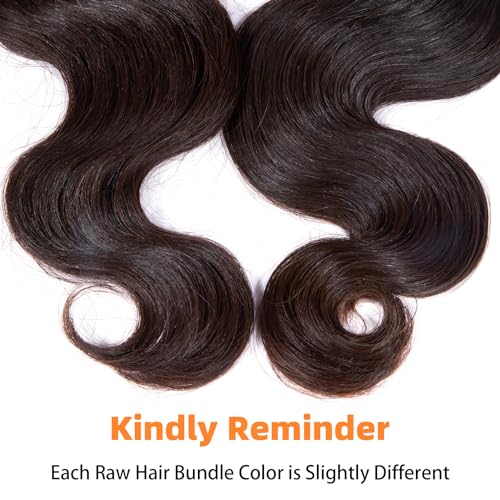 Clytie One Donor Raw Natural Dark Brown Body Wave Bundles Human Hair, 5 Years Lasting Raw Cambodian Short 1 Single Wavy Bundle Human Hair 14 Inches Unprocessed Virgin Sew in Can Lift 613