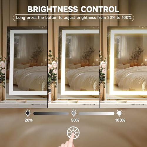 Hasipu Vanity Mirror with Lights, 19.6" x 15.7" LED Makeup Mirror, 3 Color Modes Touch Control and Brightness Adjustment Lighting Mirror, 10X Magnifying Glass, 360¡Æ Rotation