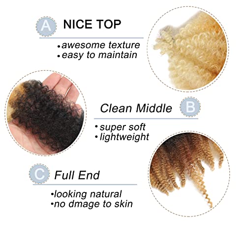 12 Inch Springy Afro Twist Hair 8 Packs Marley Twist Braiding Hair Pre-fluffed Spring Twist Hair Kinky Hair Afro Twist Hair Marley Hair for Faux Locs (12 Inch (Pack of 8), T1B/27/613#)