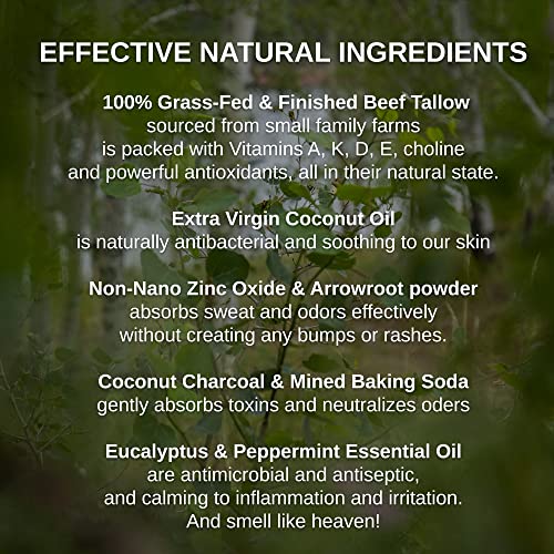 Shwally Zinc & Charcoal Deodorant ? A True Natural, Tallow-Based & Effective Deodorant for Men & Women ?? Aluminum Free with Coconut & Arrowroot ? Lasts 4X Longer (Eucalyptus + Peppermint, 2.5 oz)