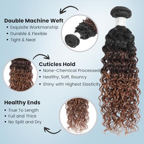 ALHER 12A Ombre Human Hair 3 Bundles Water Wave 20/22/24 Inch, Salon Quality Soft Thick Chestnut Brown Ombre Curly Bundles Wet and Wavy 100% Remy Hair #T1B/2/30 Dark Root to Medium Auburn Sew In Weave