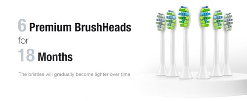 7AM2M Ultrasonic Electric Toothbrush with 6 Brush Heads for Adults&Kids, One Charge for 120 Days, Type-C Charge, 5 Modes, 40000VPM Powered Toothbrush, 2 Minutes Built in Smart Timer (Peacock Green)