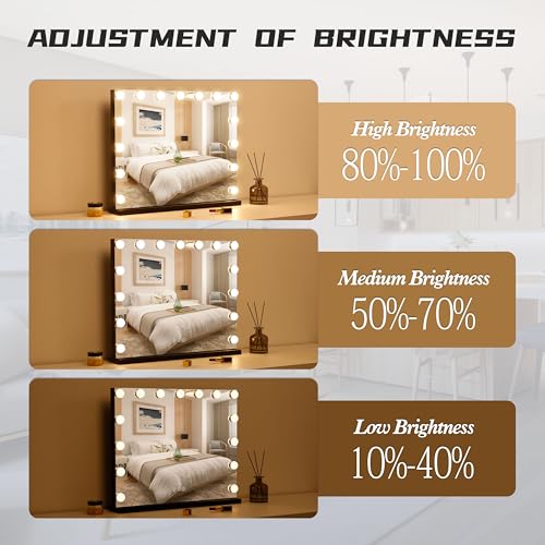 Vanity Mirror with Lights Lighted Makeup Mirror with 15 Dimmable LED Bulbs,3 Color Lighting Modes,USB Charging Port Touch Control,Sturdy Metal Frame Design 22.8x18 Inch,Black