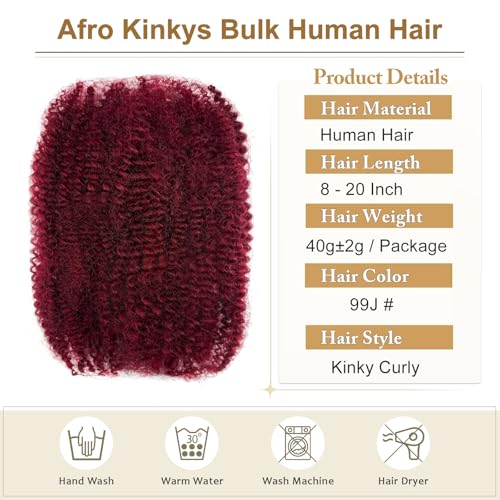 8 Inch Human Braiding Hair Afro Kinkys Bulk Human Hair for Dreadlocks Extensions Repair Locs Soft Locs1 Bundle 40 Gram (8Inch, 99j)