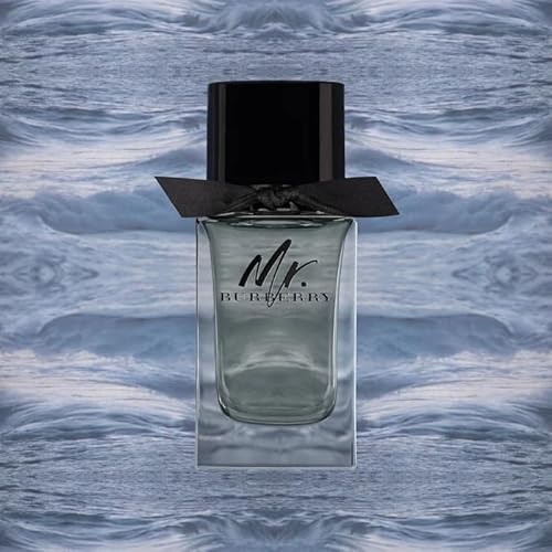 Burberry Mr. Burberry Eau de Toilette 1.6 fl oz