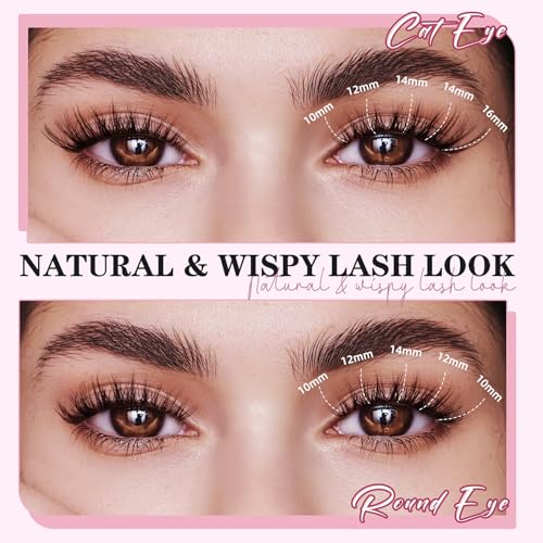 Wispy Lash Clusters Kit 10-18mm Mix D Curl Eye Lashes Wispy Lash Cluster False Eyelash Clusters DIY Lash Extension Kit with Lash Bond & Seal, Lash Glue Remover, Lash Tweezers(U13 Lash Kit)