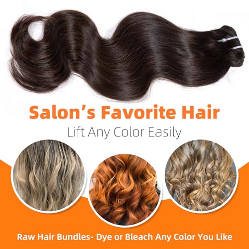 Clytie One Donor Raw Natural Dark Brown Body Wave Bundles Human Hair, 5 Years Lasting Raw Cambodian Short 1 Single Wavy Bundle Human Hair 14 Inches Unprocessed Virgin Sew in Can Lift 613