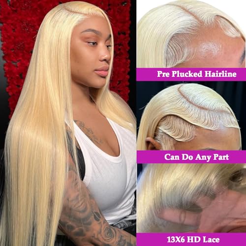 613 Lace Front Wig Human Hair Blonde Straight Wigs Human Hair 180% Density 22 Inch, Pre Plucked, No Tangle, Minimal Shedding, Average Cap, Dyeable And Heat-Friendly for Dating