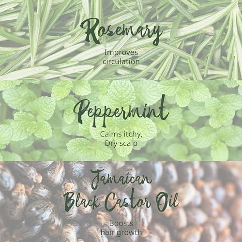 Hair Gro Rosemary Mint Shampoo & Conditioner Set - Jamaican Black Castor Oil Blend. Gently Cleanse, Moisturize, Refresh Scalp & Repair Damaged Hair. Organic Formula Nourish, Soften, Strengthen Hair