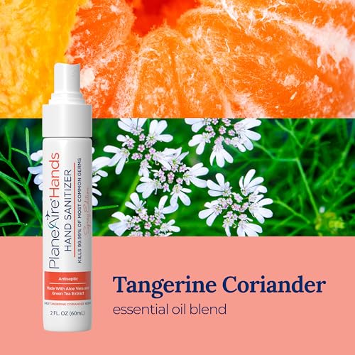 Travel Essentials | Hygiene Kit | Travel Toiletry Kit | Travel Size | Spray Hand Sanitizer Tangerine Coriander Scent | Surface Wipes | Individual Travel Wipes | Surface Cleaner | With Essential Oils
