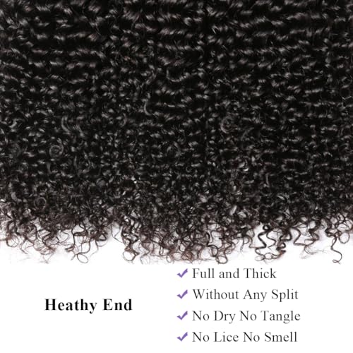 Curly Human Hair Bundles Brazilian Virgin Hair Weave 3 Bundles Jerry Curly Wave 12A Grade Unprocessed Hair Extensions Natural Black 22 24 26 inch 285g/pc