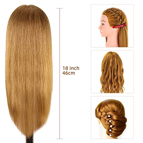 MYSWEETY Mannequin Head with 100% Human Hair, Doll Head for Hair Styling, Manikin Head Cosmetology Makeup Hairdressing Training Head with Clamp Holder and Tools(18" Brown, Makeup)