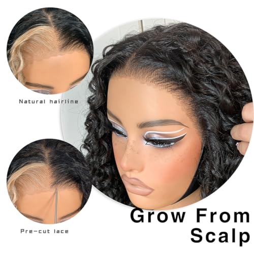 13x6 Skunk Stripe Curly Wig Wear And Go Glueless Wig Pre-Plucked Synthetic Lace Front Wig Pre-Cut Afro Kinky Layred Wig With Natural Hairline 18 Inch