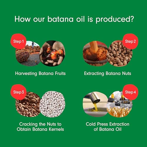 Dersie Batana Oil: Organic Batana Oil from Honduras - 100% Pure & Natural (4 fl oz)