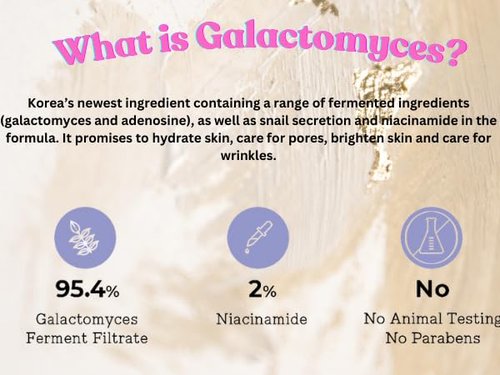 Deoproce Premium Snail Revital Premium Cream Snail Secretion Filtrate Korean Skin Care w/Galactomyces Ferment Filtrate, Volufiline, Anti wrinkle, Deep moisturizing Korean Day Cream