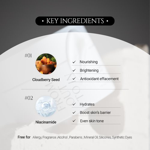 FROM OUT TO IN F.O.T.I Vegan Moisturizer Face Cream, Korean Face Moisturizer made with Cloudberry Seed & Niacinamide, For All Skin Types Alchohol Free, Cruelty Free