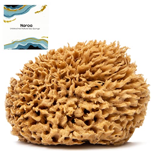 Naroa Soft Natural Sea Sponge | Gentle Loofah for Bathing Smooth Skin | Unbleached Shower Body Scrubber Puff | Bath & Spa (Medium)
