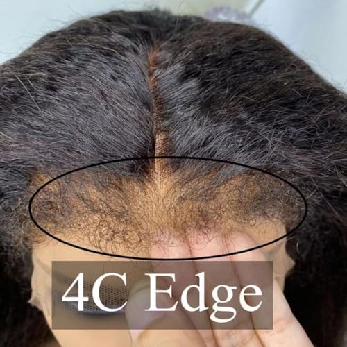 Enoya Glueless Wigs Human Hair Pre Plucked Frontal Lace Wig For Black Women£¬Hd Lace Front Wigs Human Hair 200 Density Natural Black With Baby Hair (13x4 HD Lace Frontal Wig, 10")