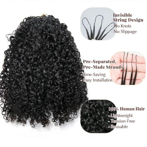 Kinky Curly Crochet Human Hair Extensions Pre-Separated Crochet Hair Multi-Textured Kinky Curly Reusable Micro Twists 18in 120g (Usually 240g Full Head) Natural Black