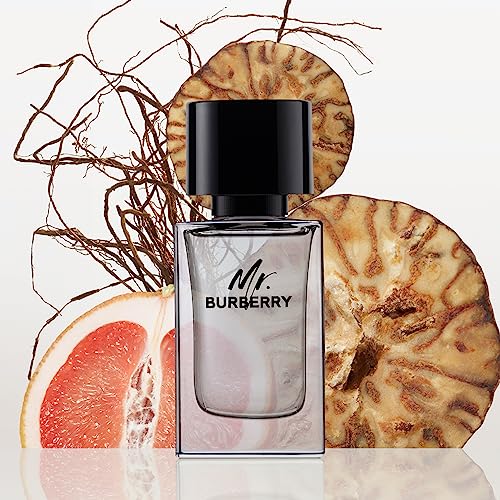 Burberry Mr. Burberry Eau de Toilette 1.6 fl oz