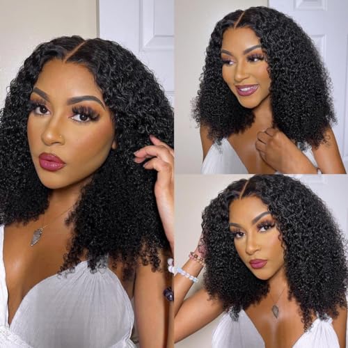 Asteria Curly Human Hair Wig 7x4 Ready To Wear Glueless Wigs Human Hair Pre Plucked Pre Cut Curly Lace Front Wigs Human Hair Wigs For Black Women 18 Inch