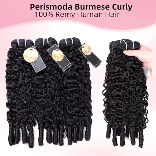 PerisModa 15A Raw Burmese Curly Bundles 100% Human Hair Bundles Pix Curly Bundles Unprocessed Human Hair Extensions 24 Inches 1PC 100% Unprocessed Virgin Water Wave Hair For Women Natural Black