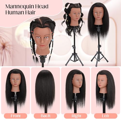 Mannequin Head 100% Real Human Hair 16", Mannequin Head Human Hair Cosmetology Doll Head for Hair Styling, Manikin Head for Braiding With Clamp Holder