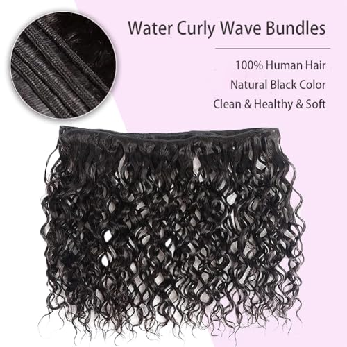 Water Wave 3 Bundles Human Hair (20 22 24 Inch) 100% Unprocessed Brazilian Virgin Human Hair Bundle Double Weft Water Curly Wave Bundle For Black Women Wet and Wavy 3 Bundles Natural Black