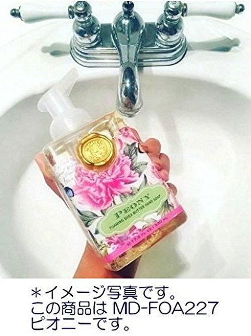 Michel Design Works Scented Foaming Hand Soap, Season's Greetings